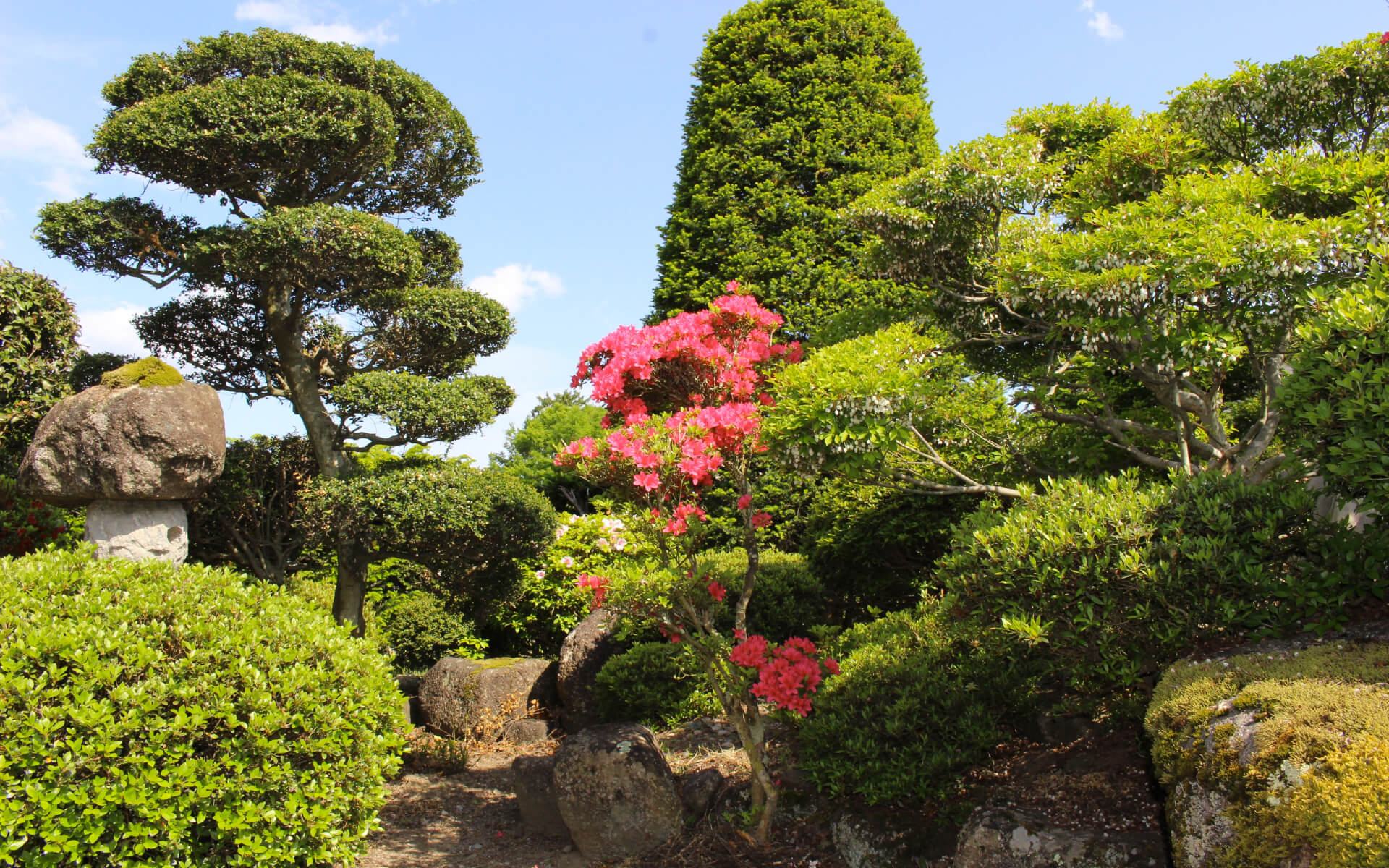 株式会社村瀬造園